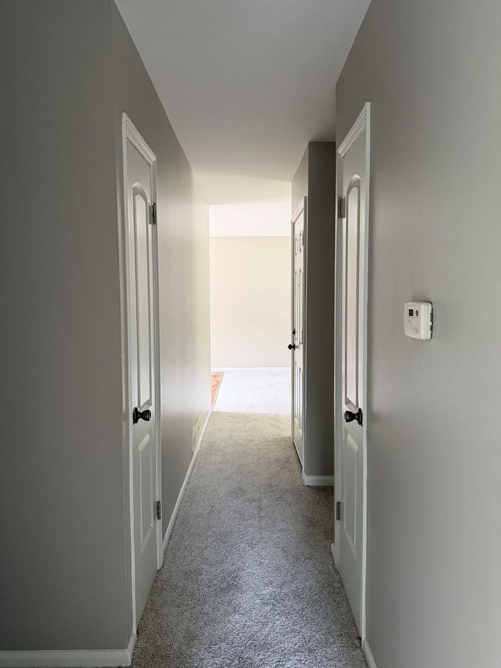 917 Park St #917 - Photo 7 of 9