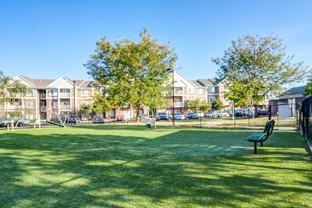 Campus Court Lexington - Photo 1 of 1