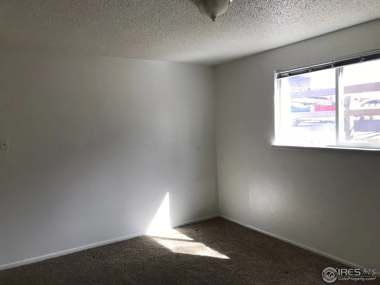 3 Ash Ct #1 - Photo 6 of 29