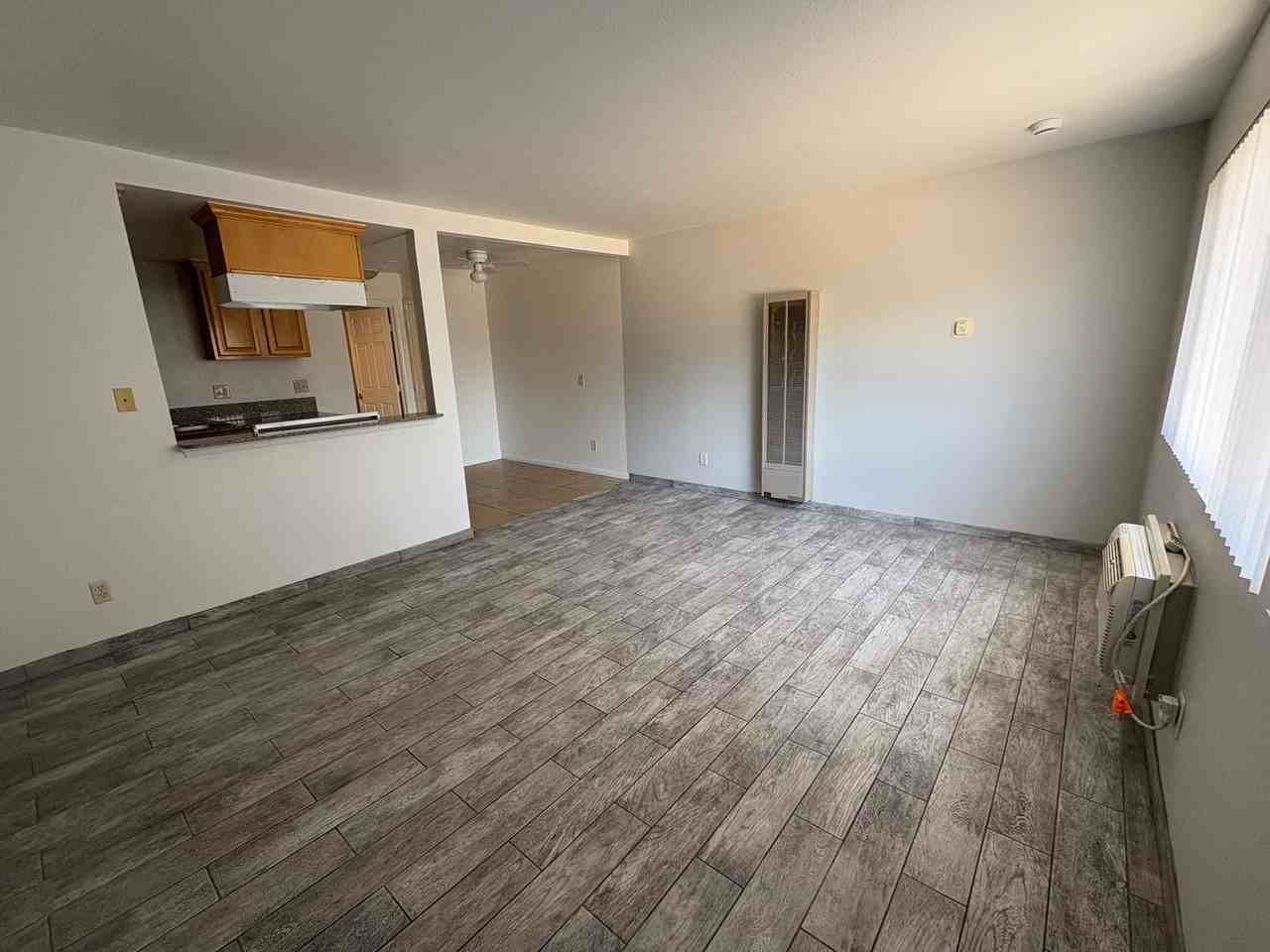 1003 E Deodar St #F - Photo 5 of 14
