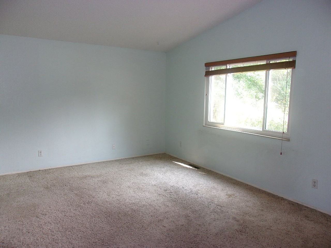 1800 Corriedale Dr - Photo 5 of 10