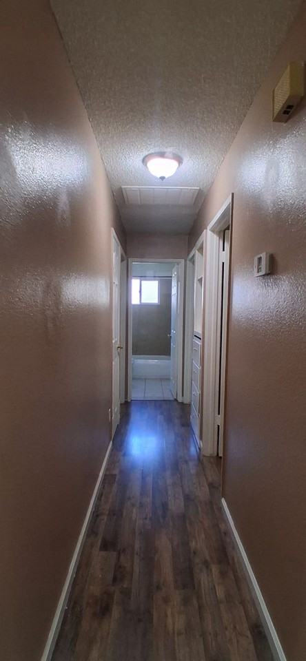 3013 Freedom Ln - Photo 4 of 15