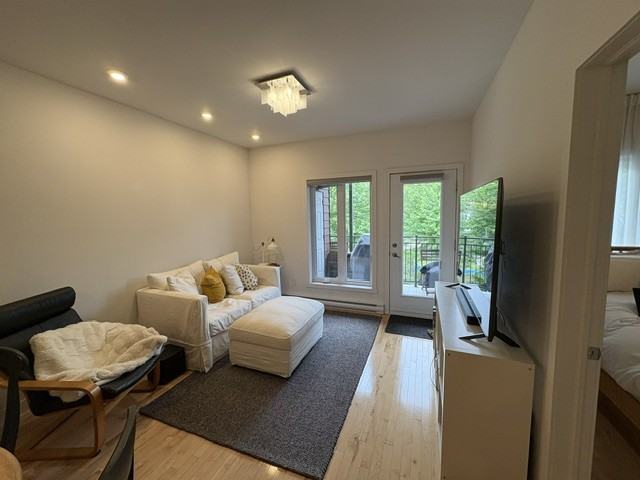 4781 Rue Saint-Ambroise - Photo 4 of 10
