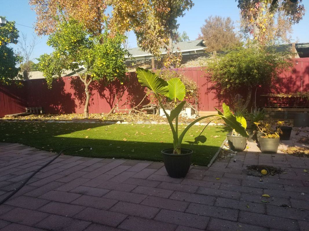 775 Beryl Pl - Photo 7 of 7