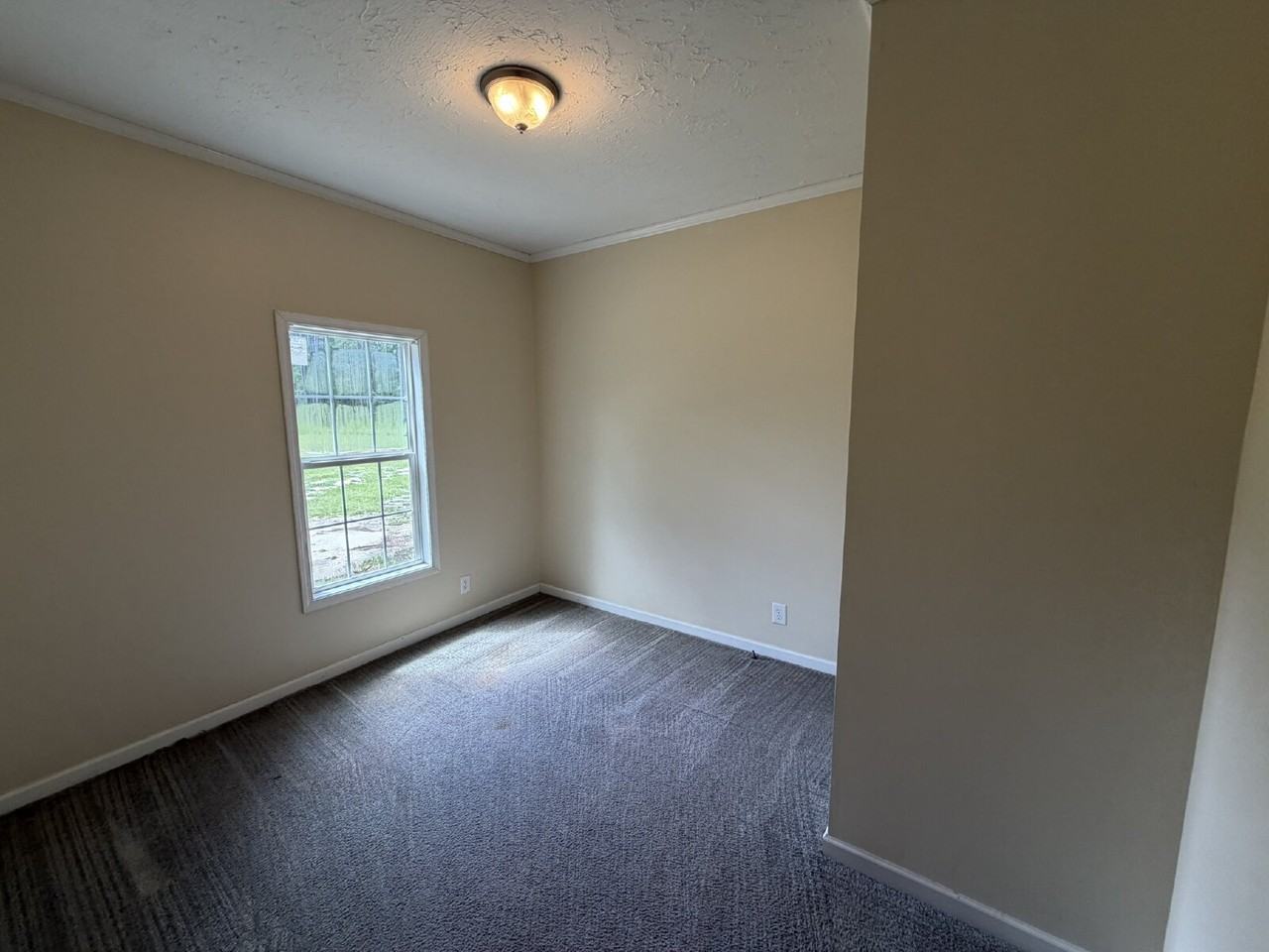 3352 Us Highway 84 E - Photo 6 of 10