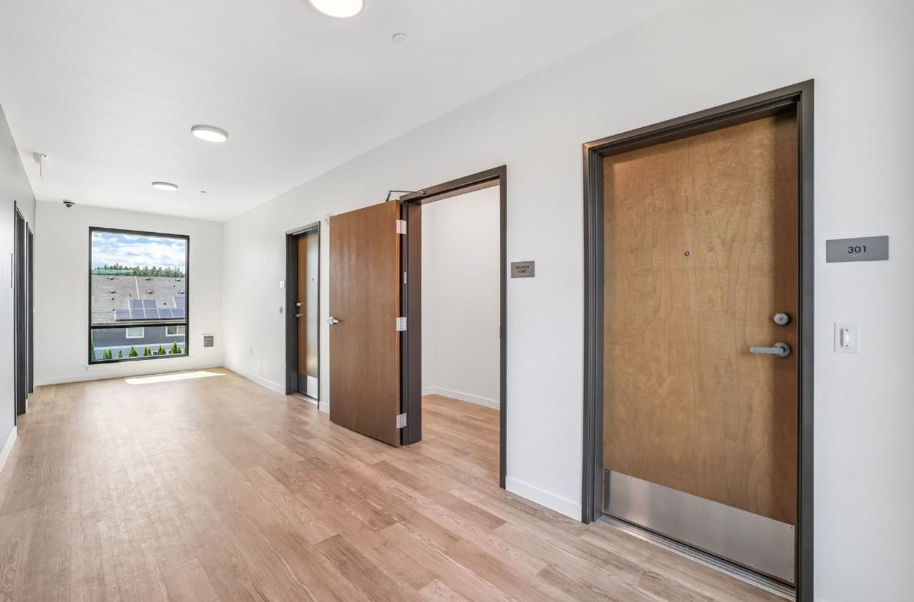 Brand-new 3-Bed, 2-Bath luxury single-level apartment! Bright, open-concept living with modern finishes throughout. - Photo 3 of 43