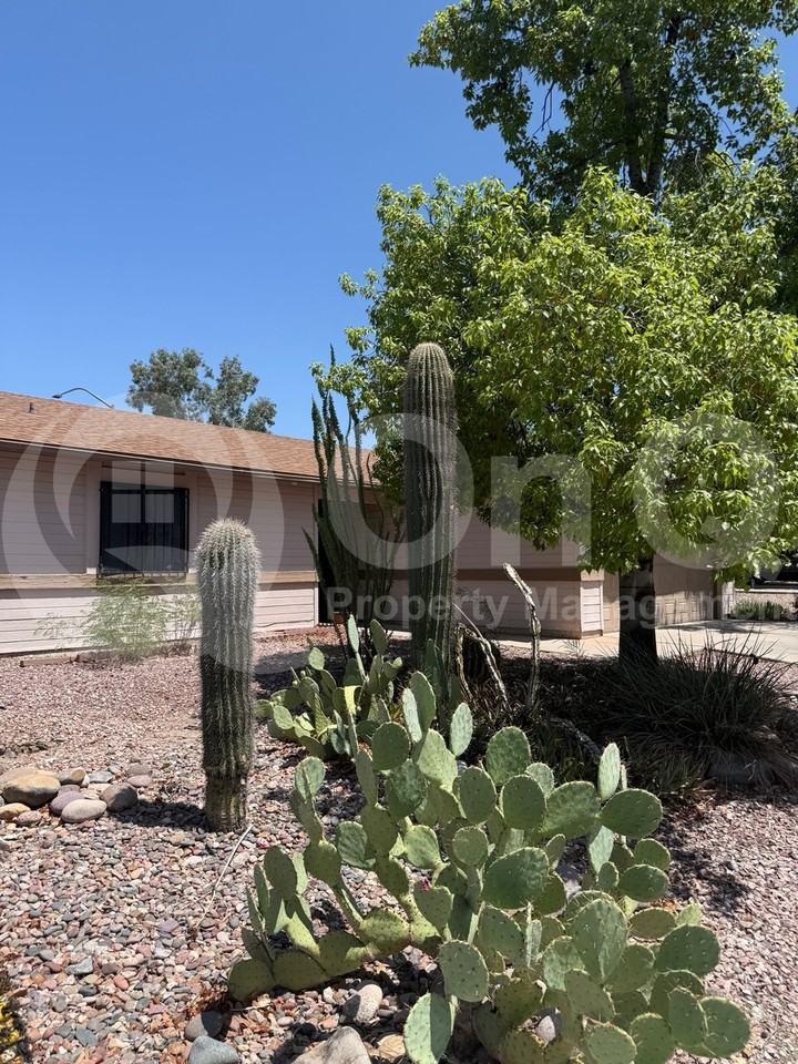 6121 S Birchwood Dr - Photo 2 of 22