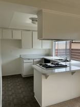 Spacious 1 bed / 1 bath Apartment with Garage - Photo 1 of 1