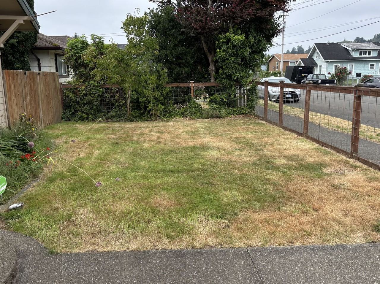 2824 Aberdeen Ave - Photo 2 of 40