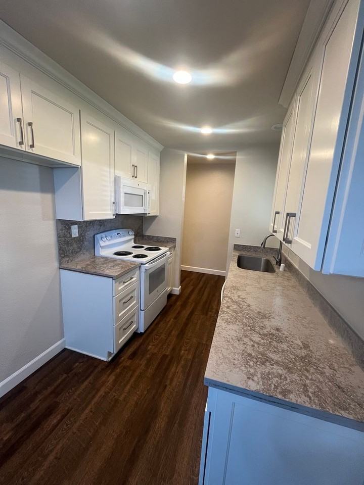 1905 Silvaire Dr - Photo 2 of 10