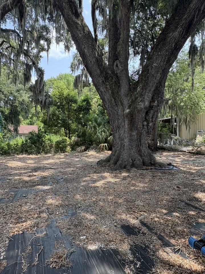 2524 Norwich St - Photo 2 of 7