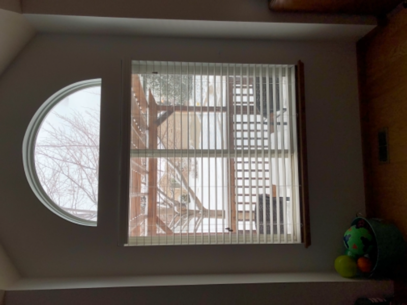 3602 Rockaway St - Photo 3 of 25