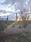 4140 W Camino Pintoresco - Photo 1 of 1