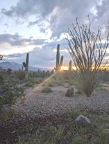 4140 W Camino Pintoresco - Photo 1 of 1
