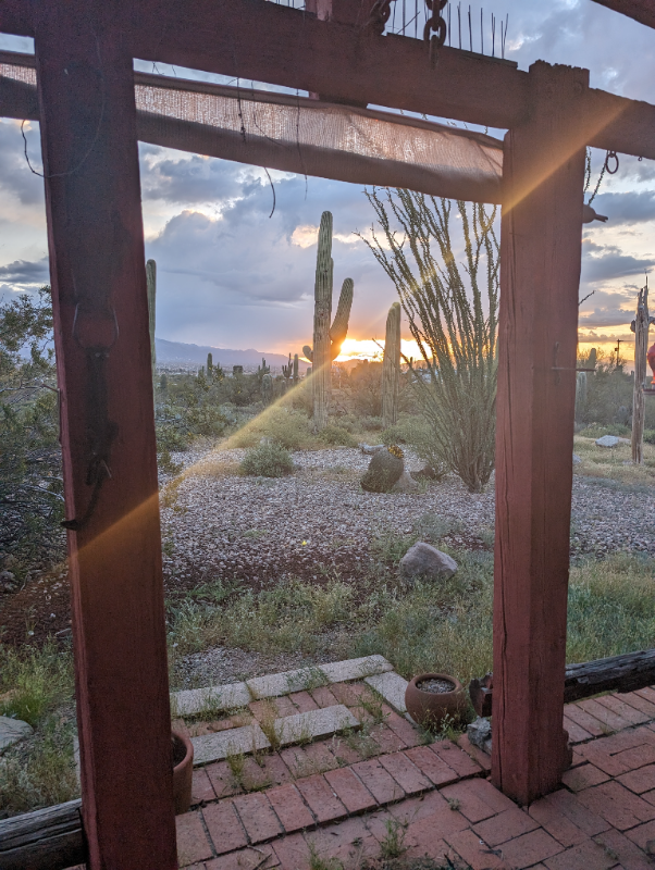 4140 W Camino Pintoresco - Photo 2 of 31