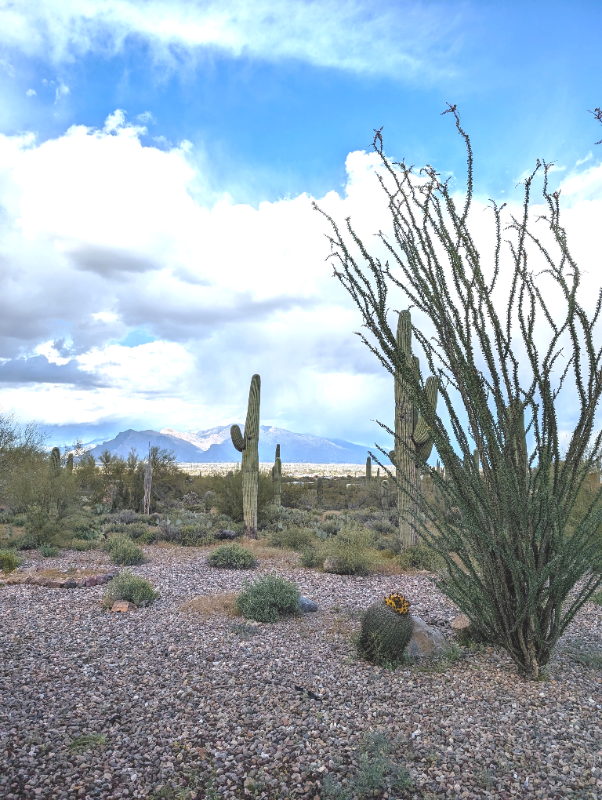 4140 W Camino Pintoresco - Photo 3 of 31