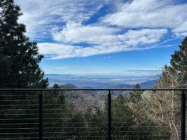 featured image of 1960 Willow Dr