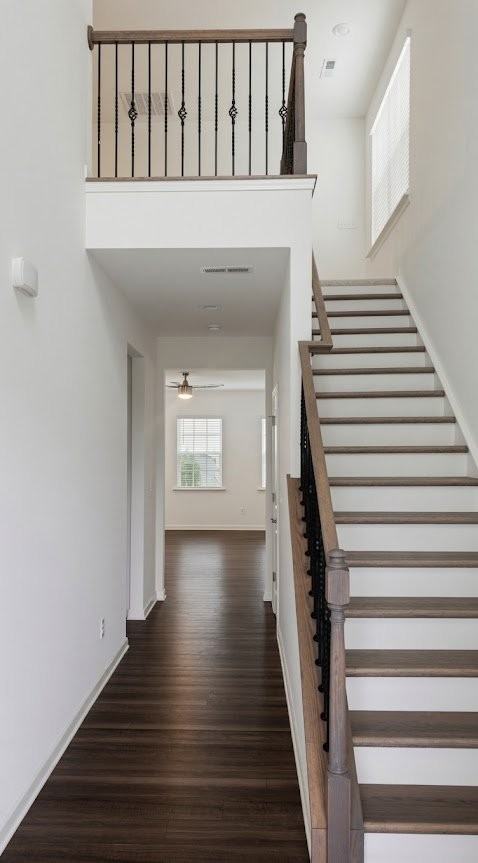 5531 Hydrangea St - Photo 2 of 15