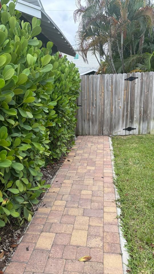 715 New York St - Photo 2 of 10