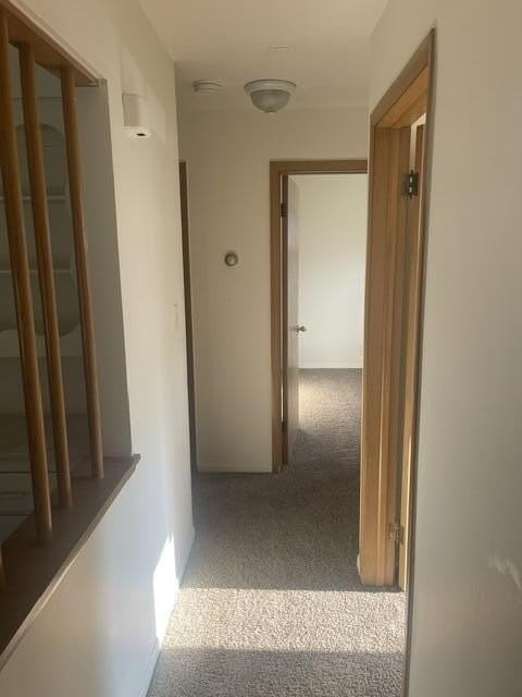 9266 Berwyn - Photo 6 of 12