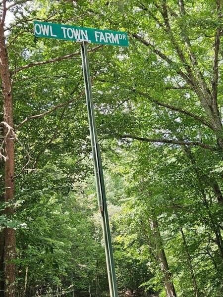 287 Owltown Farm Dr - Photo 2 of 49