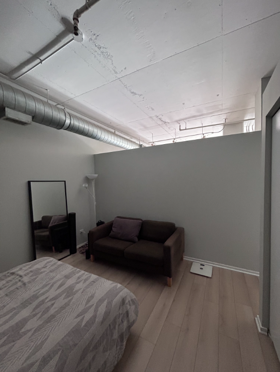 212 E Cullerton St #410 - Photo 7 of 8