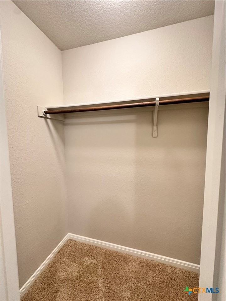 304 Fall Aster Dr - Photo 7 of 13