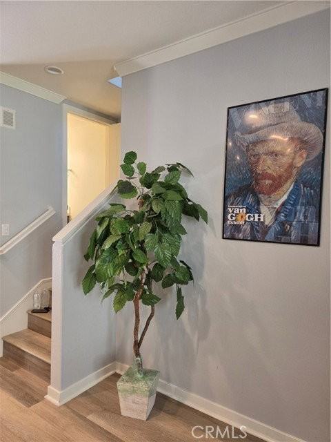 64 Savannah - Photo 4 of 8