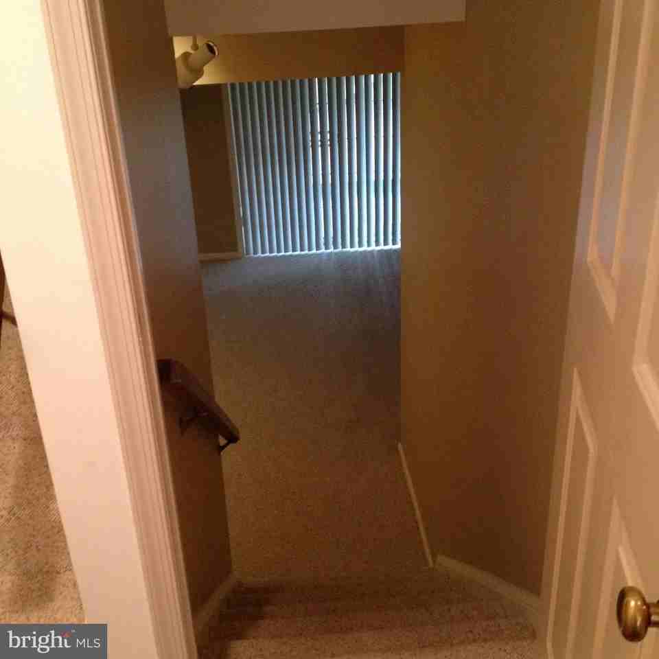 6559 River Tweed Ln - Photo 4 of 30