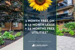 featured image of 7433 & 7433 Yonge St. And 20 & 30 Clarke Ave