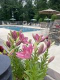 500 Vista Lake Dr #4 - Photo 1 of 1