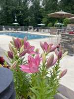 featured image of 500 Vista Lake Dr #4
