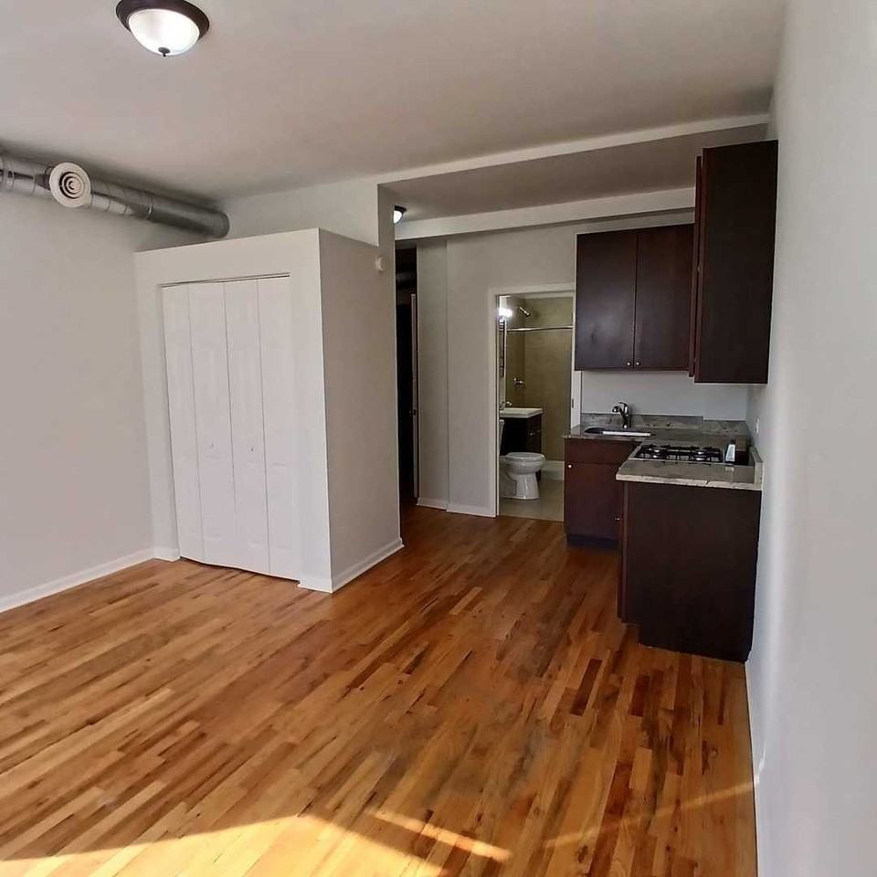 7606 N Paulina St #203A - Photo 3 of 11