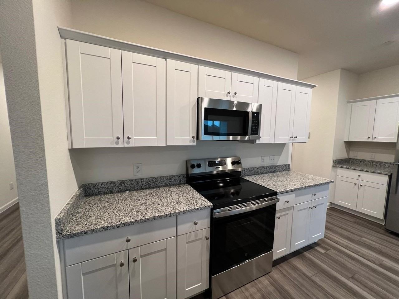 1325 Lake Alpine Trl - Photo 3 of 25