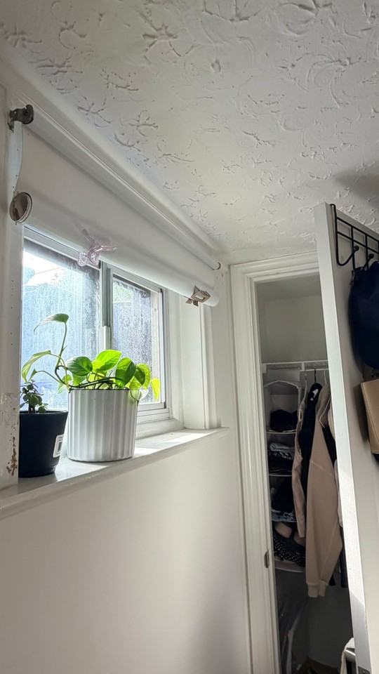 459 Drewry Avenue #1 - Photo 6 of 7