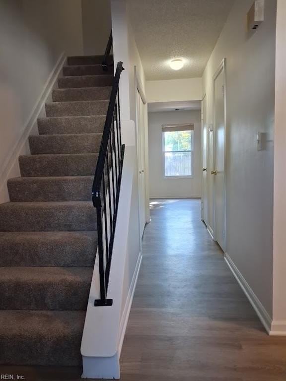 1116 Meadow Sage Ln - Photo 2 of 29