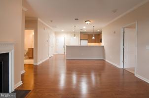 featured image of 12001 Old Vine Blvd #3E306