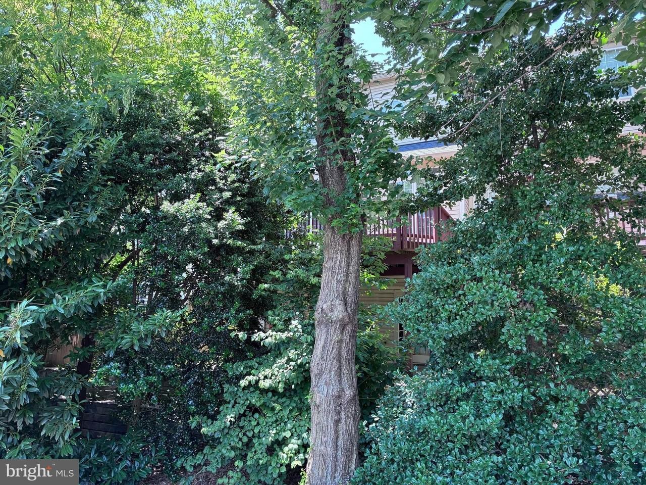 214 Halpine Walk Ct - Photo 4 of 9