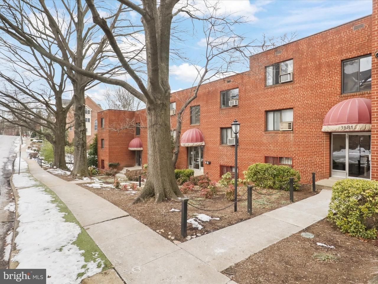 1581 N Colonial Ter #201X - Photo 2 of 28
