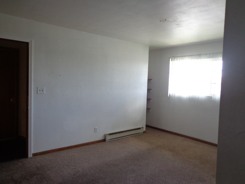 713 Cedar Dr - Photo 3 of 13