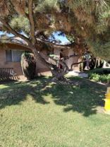 1819 Lampton Ln #3 - Photo 1 of 1