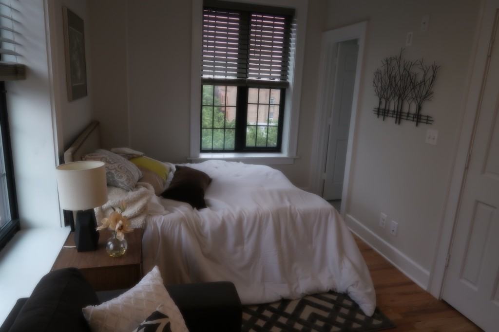 4526 N Sheridan Rd #411 - Photo 5 of 16