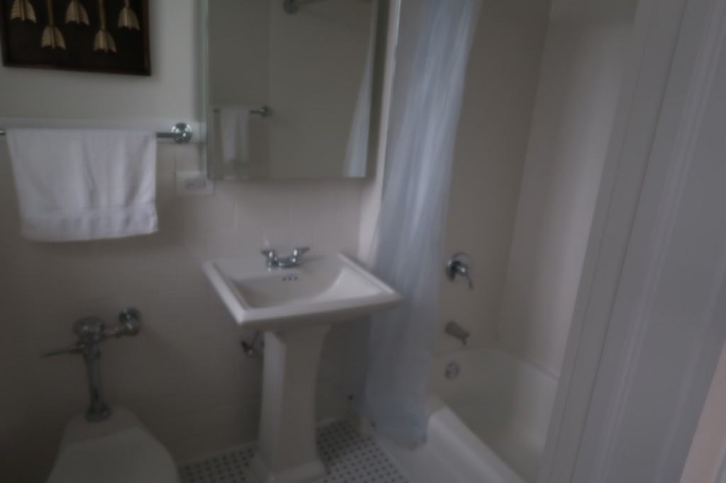 4526 N Sheridan Rd #411 - Photo 7 of 16