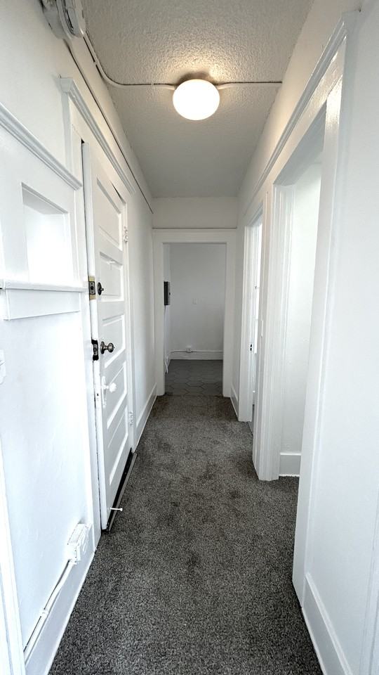 54 Rose Avenue #7 - Photo 5 of 12