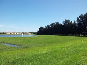 962 E Shell Point Rd - Photo 1 of 1