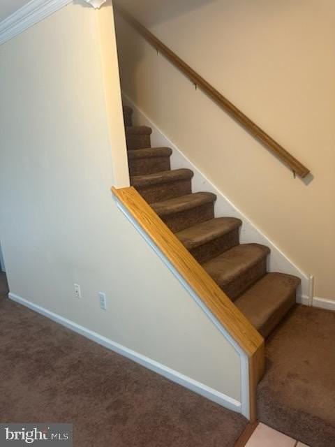 3646 Nancy Ward Cir - Photo 3 of 13