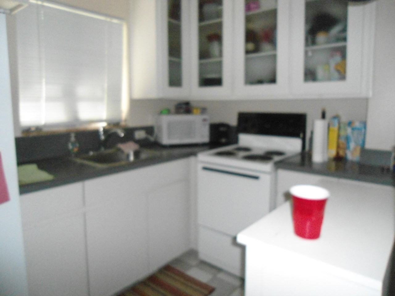 503 E Amelia St - Photo 7 of 18