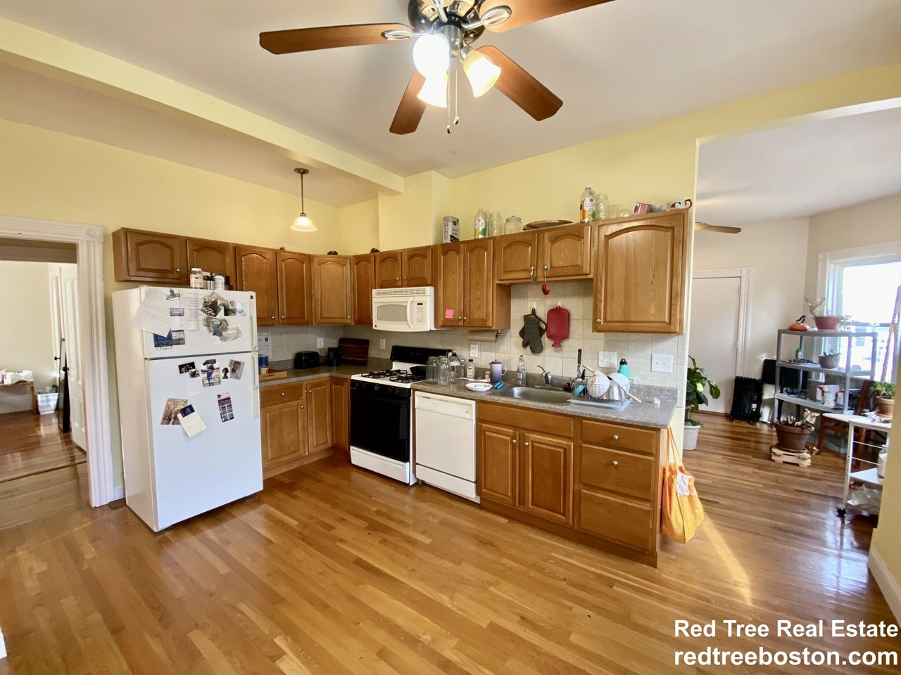 6 Primrose St #1 - Photo 4 of 16