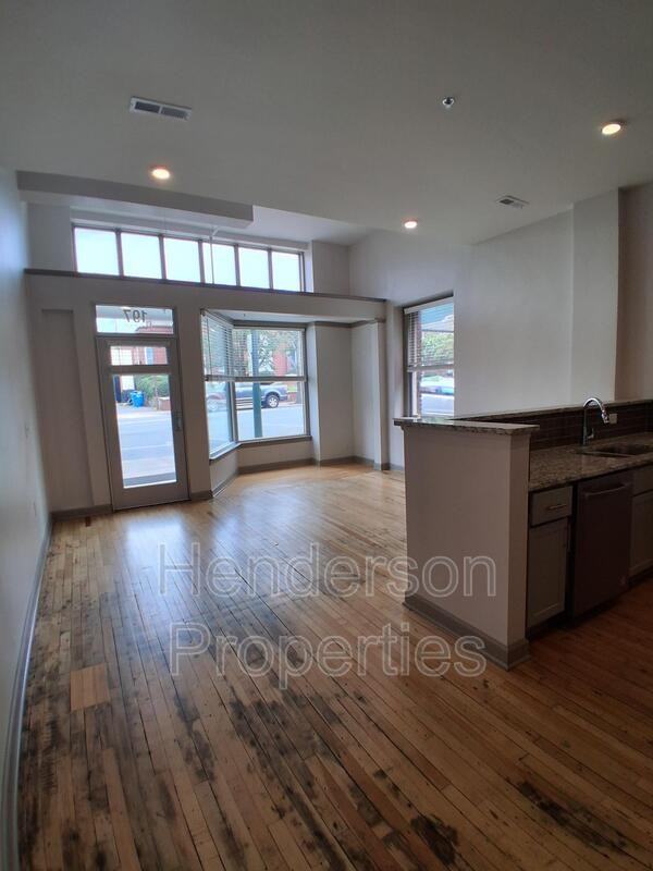 197 N 2nd St #101 - Photo 5 of 19