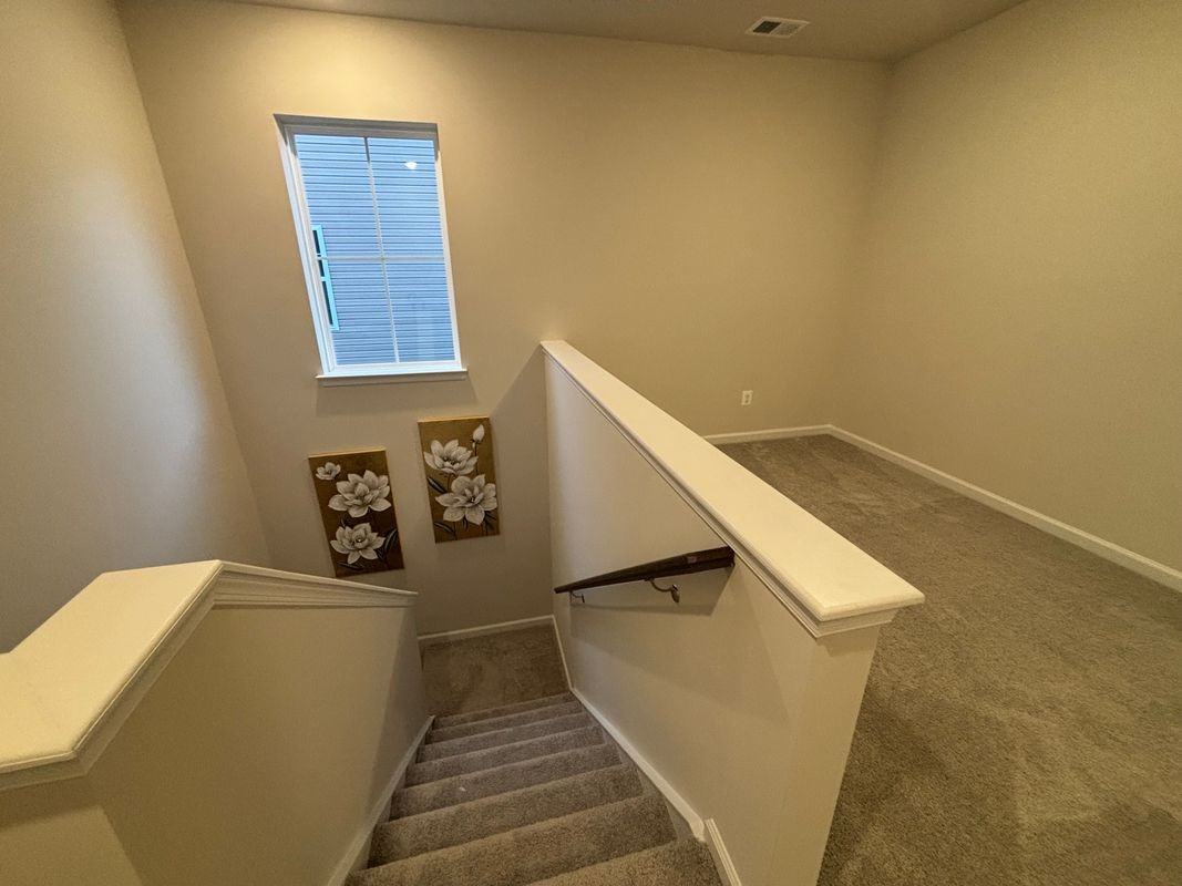 1243 Red Clover Ln - Photo 3 of 20